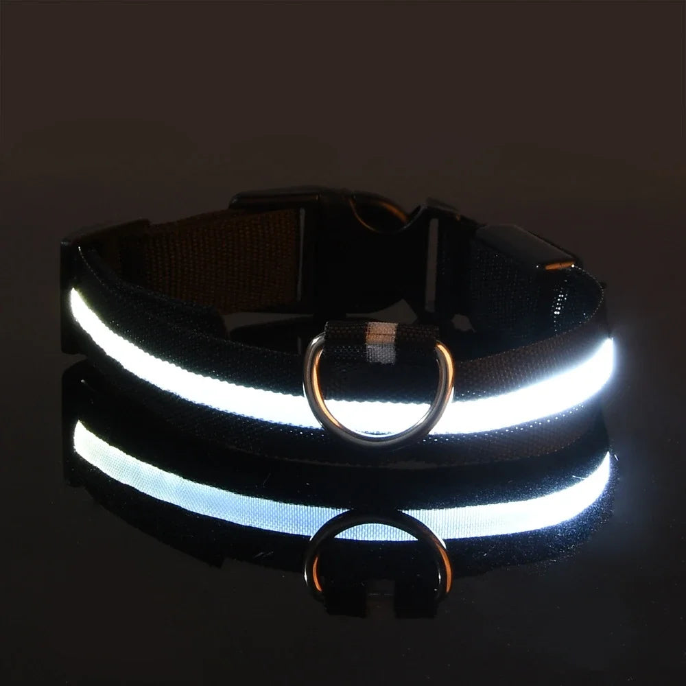 Light-up dog collar, Glow-in-the-dark dog collar, Night safety dog collar, Gift Shop Blackpool