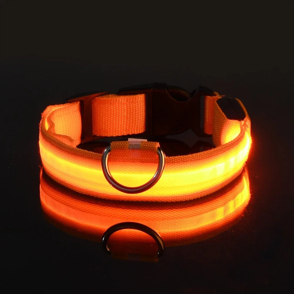 Light-up dog collar, Glow-in-the-dark dog collar, Night safety dog collar, Gift Shop Blackpool