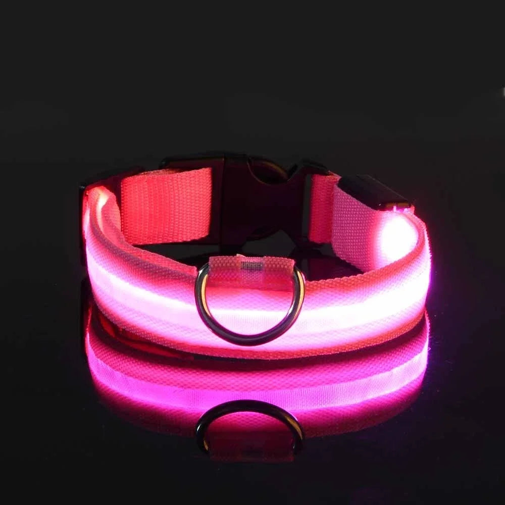Light-up dog collar, Glow-in-the-dark dog collar, Night safety dog collar, Gift Shop Blackpool