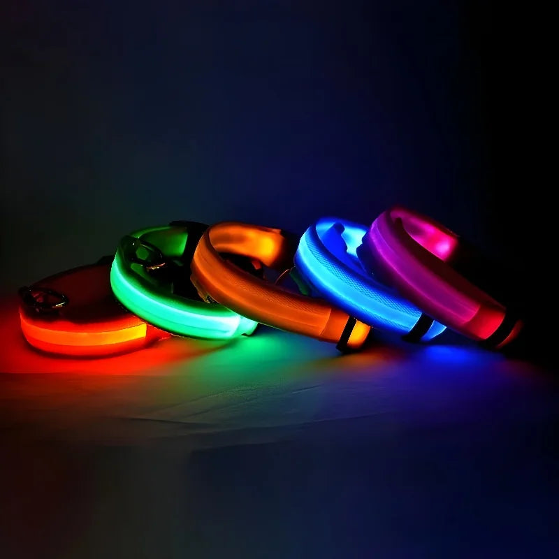 Light-up dog collar, Glow-in-the-dark dog collar, Night safety dog collar, Gift Shop Blackpool