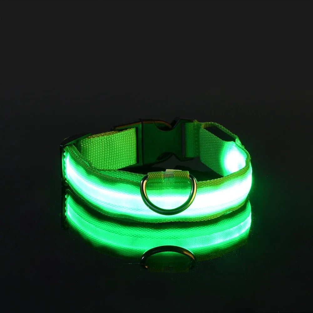 Light-up dog collar, Glow-in-the-dark dog collar, Night safety dog collar, Gift Shop Blackpool