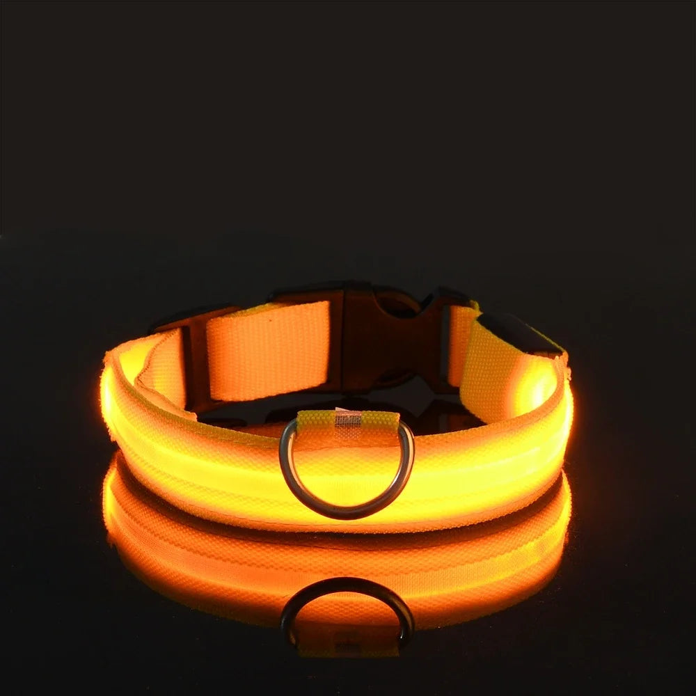 Light-up dog collar, Glow-in-the-dark dog collar, Night safety dog collar, Gift Shop Blackpool