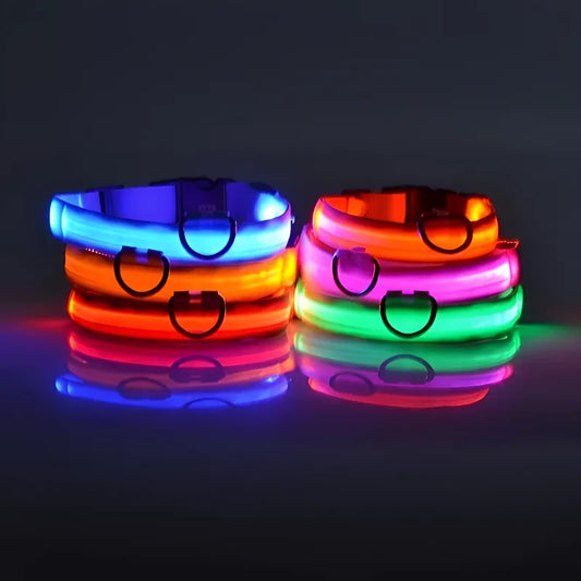 Light-up dog collar, Glow-in-the-dark dog collar, Night safety dog collar, Gift Shop Blackpool